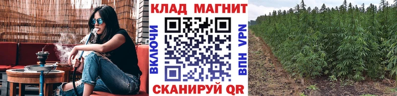 Какие есть наркотики Хасавюрт АМФЕТАМИН  APVP  MEGA tor  Мефедрон  Конопля  ГАШ  Cocaine 