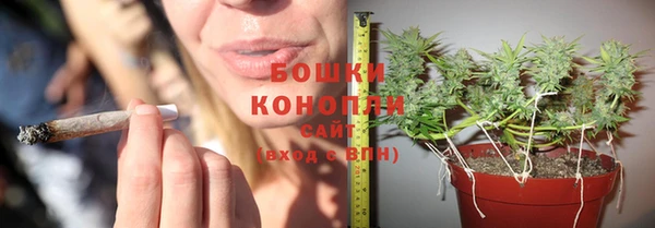 ГАЛЛЮЦИНОГЕННЫЕ ГРИБЫ Абдулино