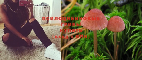 герыч Абаза