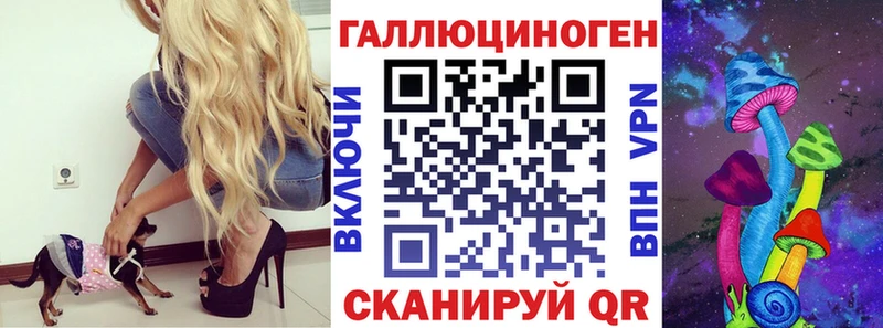 darknet формула  гидра зеркало  Хасавюрт  Псилоцибиновые грибы Psilocybe 